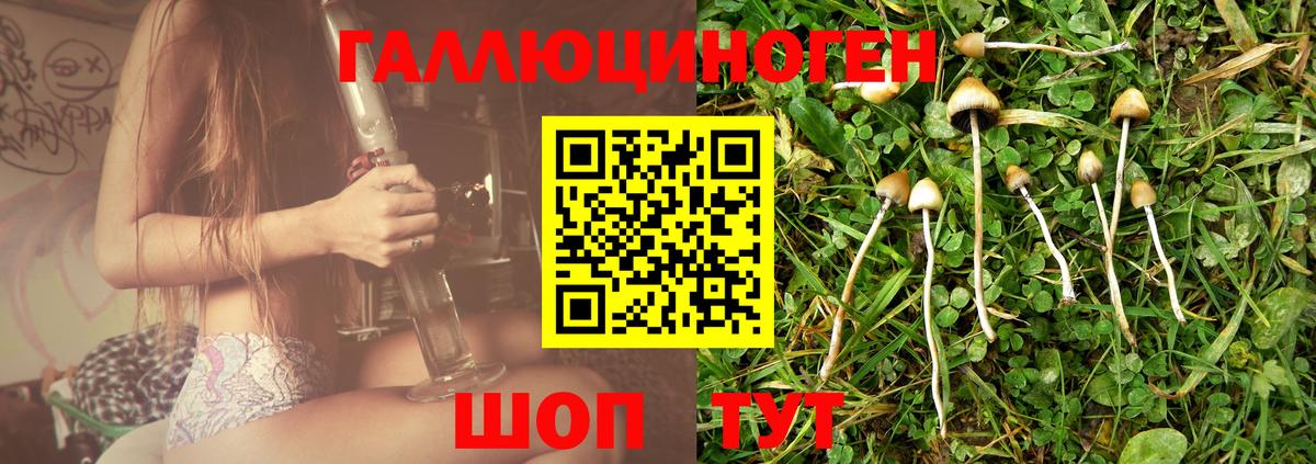 Галлюциногенные грибы Magic Shrooms  Вход с VPN  Анапа  Галлюциногенные грибы Psilocybine cubensis 